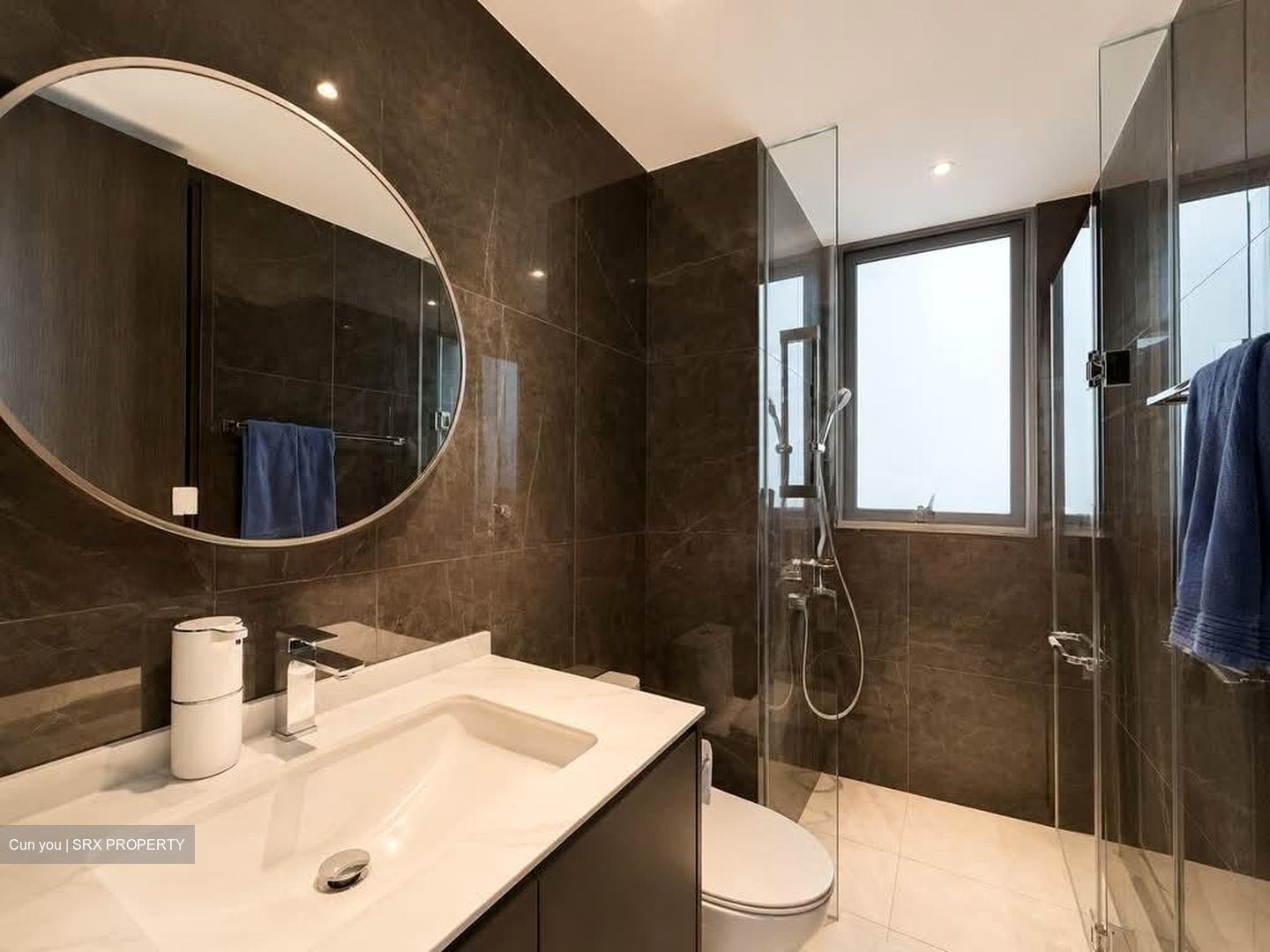Bartley Ridge (D13), Condominium #575409161